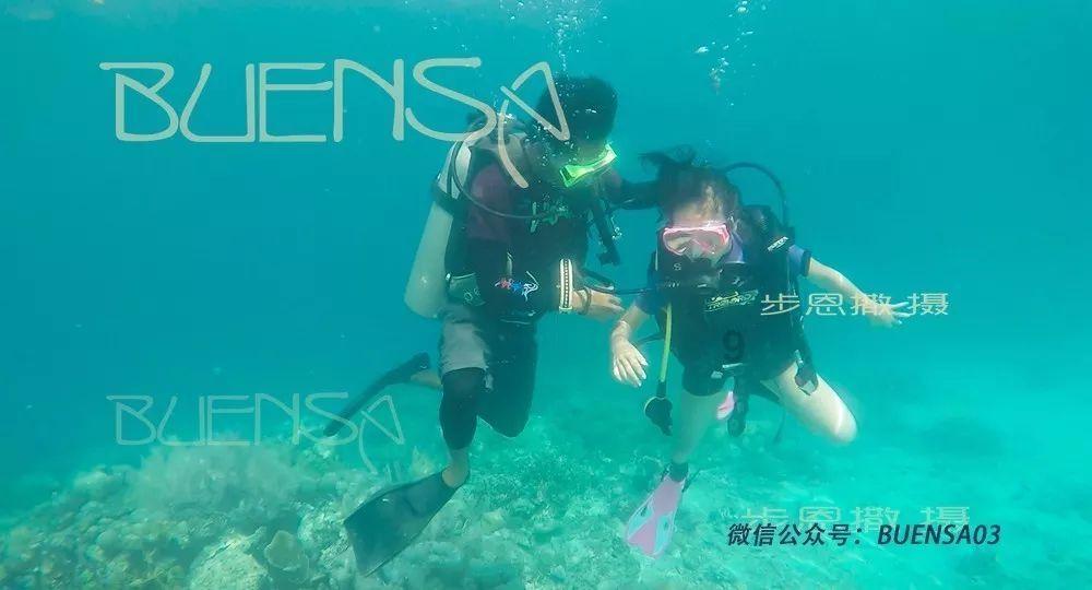 奉节:养猪场臭气扰民 “民生之声”解民忧